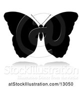 Vector Illustration of Silhouetted Butterfly, with a Reflection or Shadow, on a White Background by AtStockIllustration