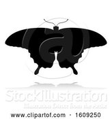 Vector Illustration of Silhouetted Butterfly, with a Reflection or Shadow, on a White Background by AtStockIllustration