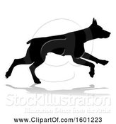 Vector Illustration of Silhouetted Dobermann Dog, with a Reflection or Shadow, on a White Background by AtStockIllustration