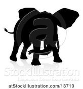 Vector Illustration of Silhouetted Elephant, with a Reflection on a White Background by AtStockIllustration