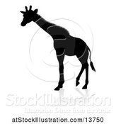 Vector Illustration of Silhouetted Giraffe with a Shadow on a White Background by AtStockIllustration
