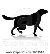 Vector Illustration of Silhouetted Golden Retriever Dog, with a Reflection or Shadow, on a White Background by AtStockIllustration