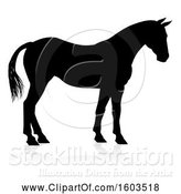 Vector Illustration of Silhouetted Horse, with a Reflection or Shadow, on a White Background by AtStockIllustration