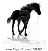 Vector Illustration of Silhouetted Horse, with a Reflection or Shadow, on a White Background by AtStockIllustration