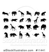 Vector Illustration of Silhouetted Lions, Giraffes, Elephants, and Rhinos by AtStockIllustration