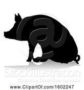 Vector Illustration of Silhouetted Pig, with a Reflection or Shadow, on a White Background by AtStockIllustration