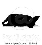 Vector Illustration of Silhouetted Pig, with a Reflection or Shadow, on a White Background by AtStockIllustration