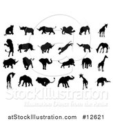 Vector Illustration of Silhoutted Elephants, Rhinoceroses, Lions and Giraffes by AtStockIllustration