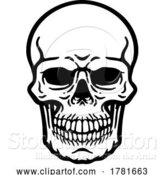 Vector Illustration of Skull Grim Reaper Skeleton Head by AtStockIllustration