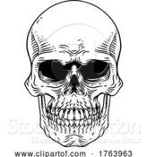 Vector Illustration of Skull Old Vintage Woodcut Etching Engraving Style by AtStockIllustration