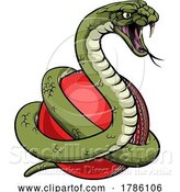 Vector Illustration of Snake Cricket Ball Animal Sports Team Mascot by AtStockIllustration