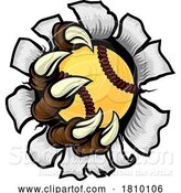 Vector Illustration of Softball Ball Claw Monster Animal Hand by AtStockIllustration