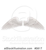 Vector Illustration of Spread White Feathered Wings by AtStockIllustration