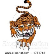 Vector Illustration of Tiger Angry Tigers Team Sports Mascot Roaring by AtStockIllustration
