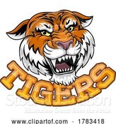 Vector Illustration of Tiger Angry Tigers Team Sports Mascot Roaring by AtStockIllustration