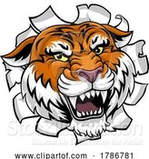 Vector Illustration of Tiger Animal Sports Team Mascot by AtStockIllustration