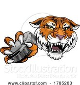 Vector Illustration of Tiger Ice Hockey Team Sports Mascot by AtStockIllustration