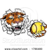 Vector Illustration of Tiger Softball Animal Sports Team Mascot by AtStockIllustration