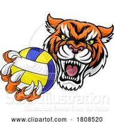 Vector Illustration of Tiger Volleyball Volley Ball Animal Sports Mascot by AtStockIllustration
