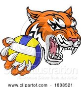 Vector Illustration of Tiger Volleyball Volley Ball Animal Sports Mascot by AtStockIllustration