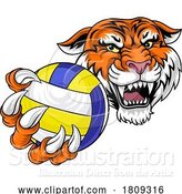 Vector Illustration of Tiger Volleyball Volley Ball Animal Sports Mascot by AtStockIllustration