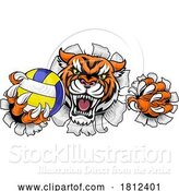 Vector Illustration of Tiger Volleyball Volley Ball Animal Sports Mascot by AtStockIllustration