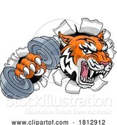 Vector Illustration of Tiger Weight Lifting Dumbbell Gym Animal Mascot by AtStockIllustration