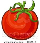 Vector Illustration of Tomato Vegetable Food Drawing by AtStockIllustration