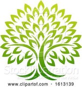 Vector Illustration of Tree Icon Concept of a Stylised Tree with Leaves by AtStockIllustration