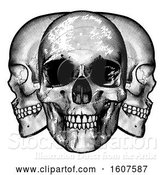 Vector Illustration of Trio of Human Skulls, Black and White Vintage Etched Style by AtStockIllustration