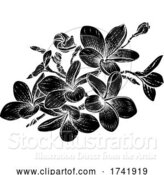 Vector Illustration of Tropical Plumeria Frangipani Bali Flower Woodcut by AtStockIllustration