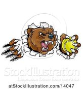 Vector Illustration of Vicious Aggressive Bear Mascot Slashing Through a Wall with a Tennis Ball in a Paw by AtStockIllustration