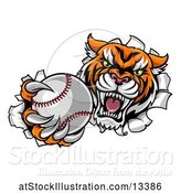 Vector Illustration of Vicious Tiger Mascot Breaking Through a Wall with a Baseball by AtStockIllustration