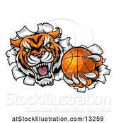 Vector Illustration of Vicious Tiger Mascot Breaking Through a Wall with a Basketball by AtStockIllustration