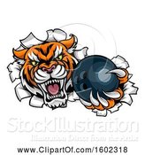Vector Illustration of Vicious Tiger Mascot Breaking Through a Wall with a Bowling Ball by AtStockIllustration