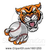Vector Illustration of Vicious Tiger Sports Mascot Grabbing a Baseball by AtStockIllustration
