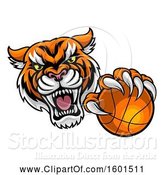 Vector Illustration of Vicious Tiger Sports Mascot Grabbing a Basketball by AtStockIllustration