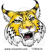 Vector Illustration of Wildcat Angry Wildcats Team Sports Mascot Roaring by AtStockIllustration