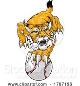 Vector Illustration of Wildcat Bobcat Baseball Ball Animal Team Mascot by AtStockIllustration