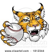 Vector Illustration of Wildcat Bobcat Baseball Ball Animal Team Mascot by AtStockIllustration