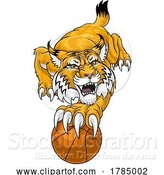 Vector Illustration of Wildcat Bobcat Basketball Animal Sport Team Mascot by AtStockIllustration