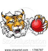 Vector Illustration of Wildcat Bobcat Cricket Ball Animal Team Mascot by AtStockIllustration