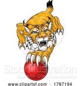 Vector Illustration of Wildcat Bobcat Cricket Ball Animal Team Mascot by AtStockIllustration