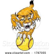 Vector Illustration of Wildcat Bobcat Softball Animal Sports Team Mascot by AtStockIllustration