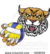 Vector Illustration of Wildcat Cougar Lynx Lion Volleyball Claw Mascot by AtStockIllustration