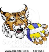 Vector Illustration of Wildcat Cougar Lynx Lion Volleyball Claw Mascot by AtStockIllustration