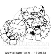Vector Illustration of Wildcat Cougar Lynx Lion Volleyball Claw Mascot by AtStockIllustration