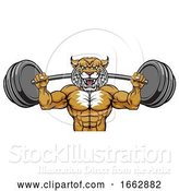 Vector Illustration of Wildcat Mascot Weight Lifting Body Builder by AtStockIllustration