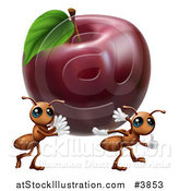 Vector Illustration of Worker Ants Carrying Away a Red Apple by AtStockIllustration