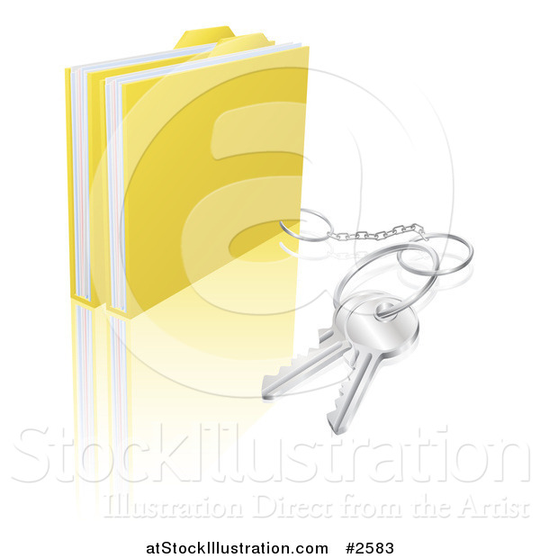 Vector Illustration of 3d Secure Files with a Key Ring
